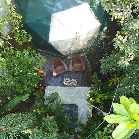 Momotus Glamping Otel Florencia Dış mekan fotoğraf