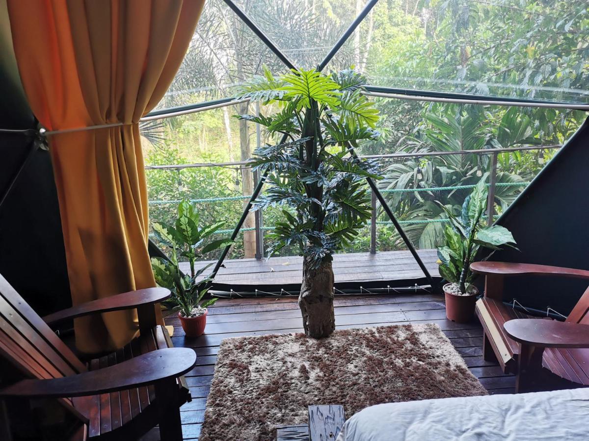 Momotus Glamping Otel Florencia Dış mekan fotoğraf