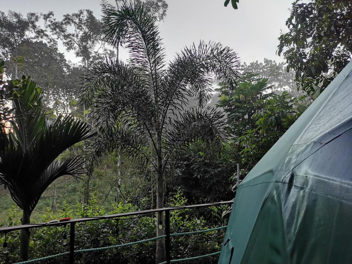 Momotus Glamping Otel Florencia Dış mekan fotoğraf