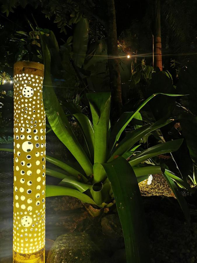 Momotus Glamping Otel Florencia Dış mekan fotoğraf