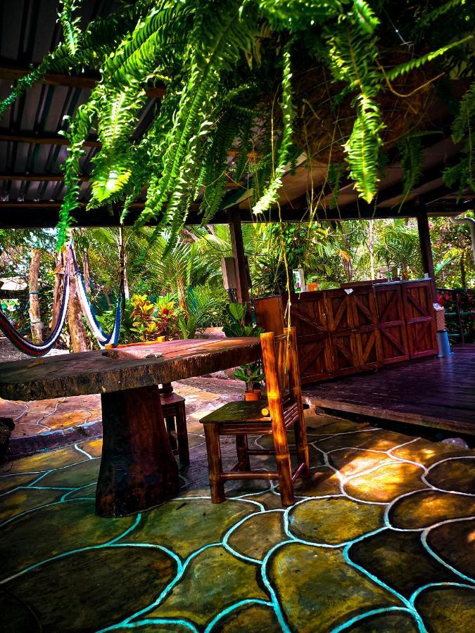 Momotus Glamping Otel Florencia Dış mekan fotoğraf