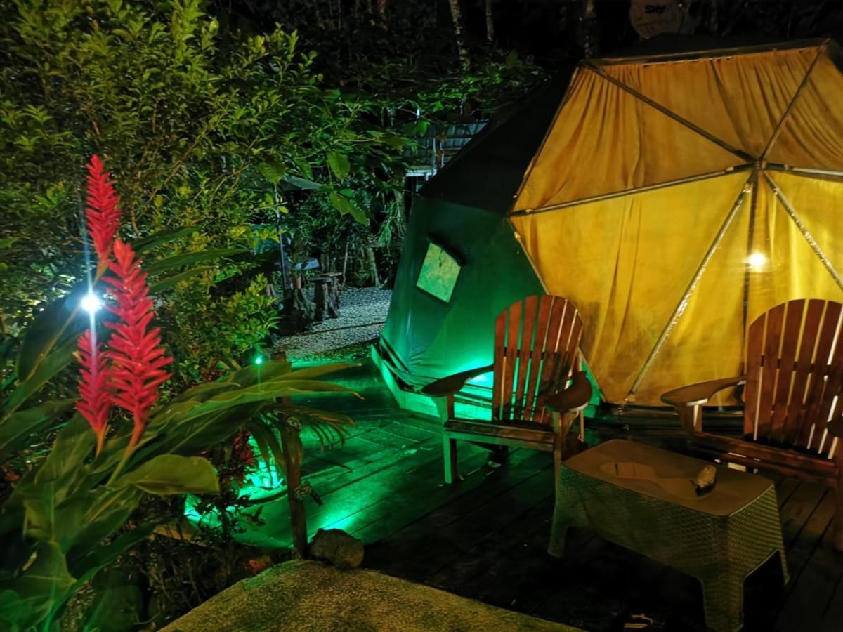 Momotus Glamping Otel Florencia Dış mekan fotoğraf