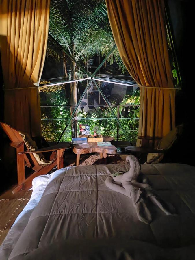 Momotus Glamping Otel Florencia Dış mekan fotoğraf