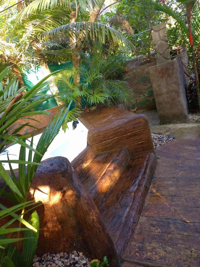 Momotus Glamping Otel Florencia Dış mekan fotoğraf