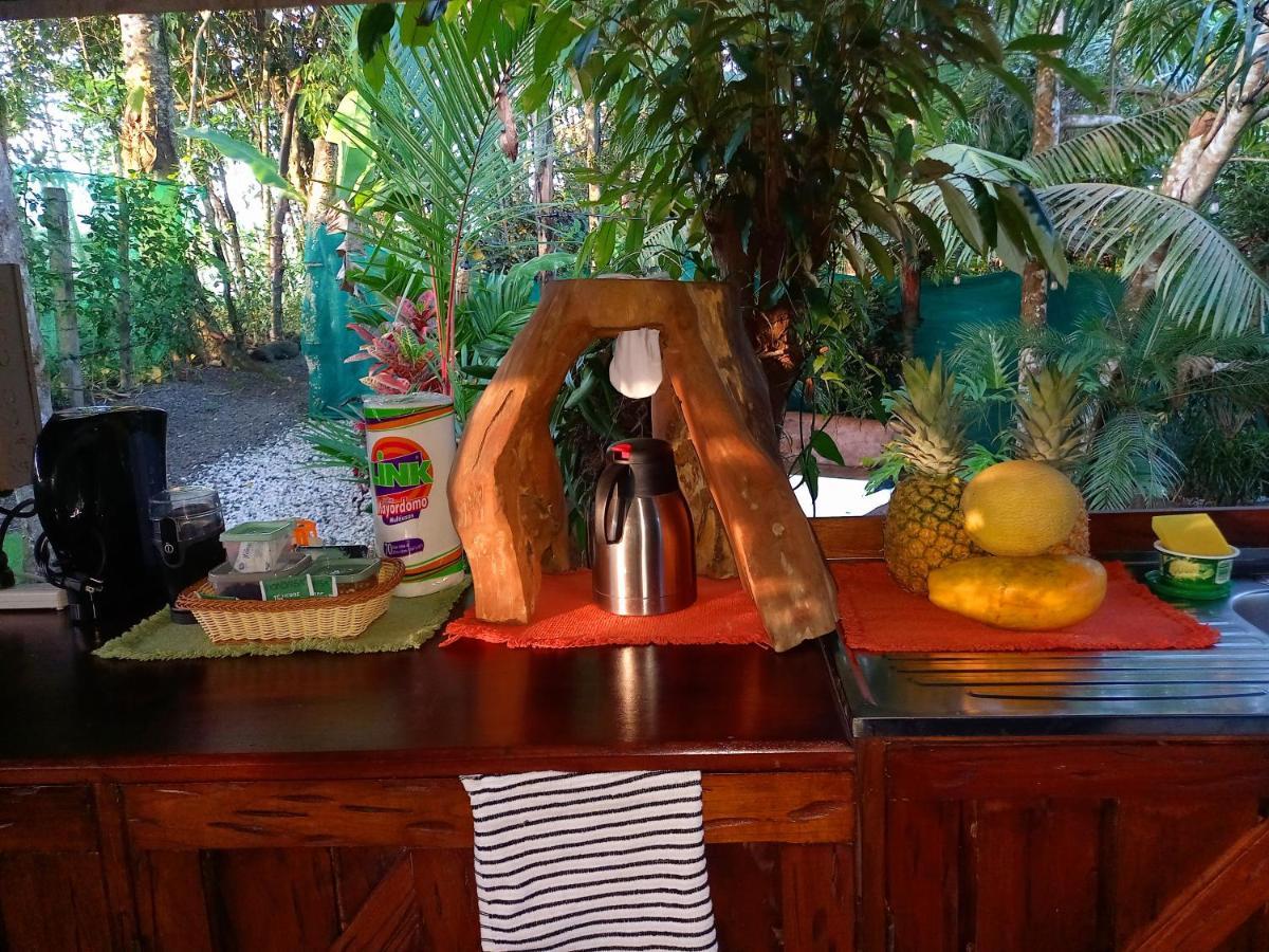 Momotus Glamping Otel Florencia Dış mekan fotoğraf