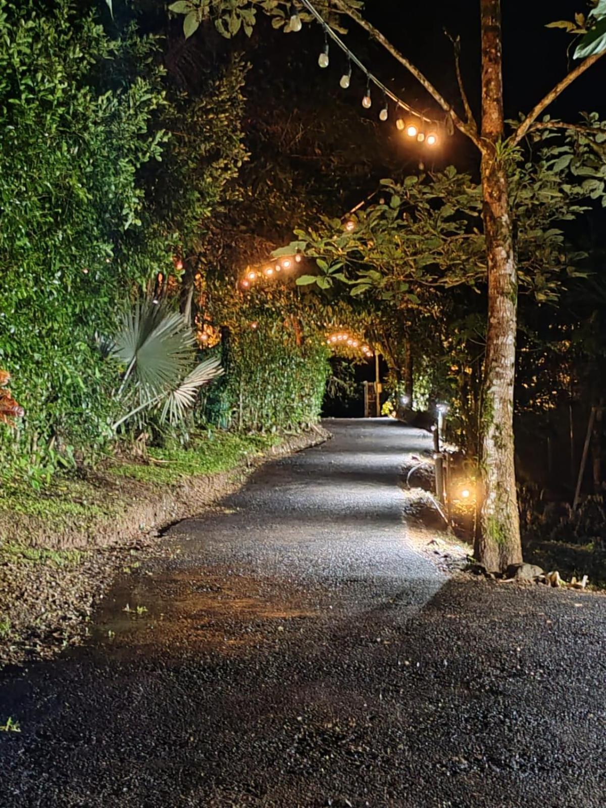 Momotus Glamping Otel Florencia Dış mekan fotoğraf